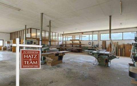 Ortenburg Halle, Ortenburg Hallenfläche