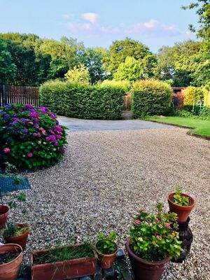 Außenbereich Grünanlage