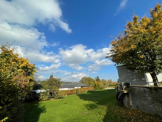 Blick in den Garten