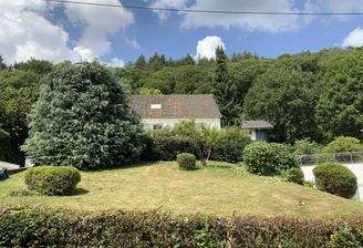 Garten vor dem Haus/ Ansicht von Straße