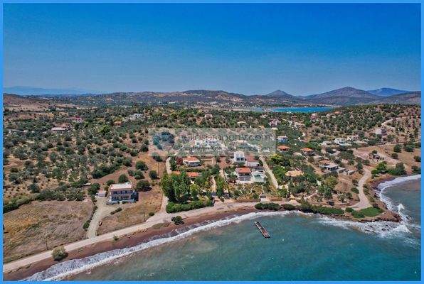 10a41439aae040388467ea462899b7b9-original