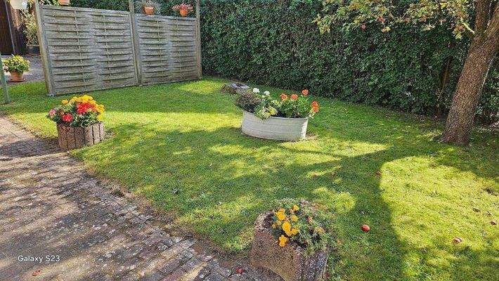 Grünfläche neben dem Haus.jpg