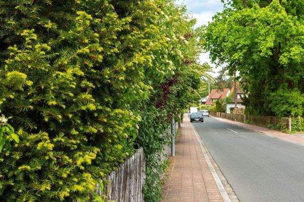 Am Sailersberg - Umgebungsbild.jpg