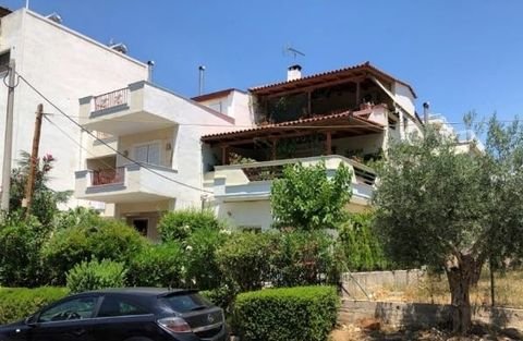 Athen Wohnungen, Athen Wohnung kaufen