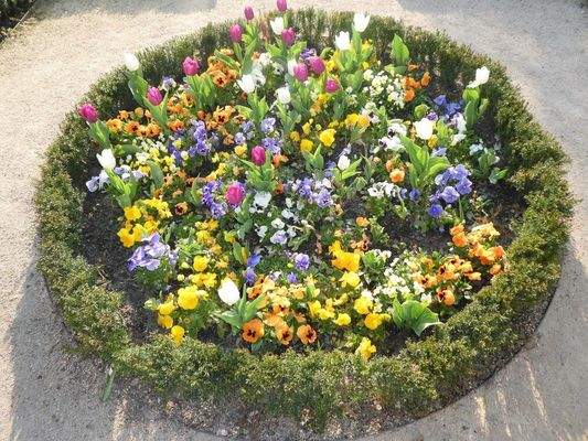 Frühling in Bietigheim