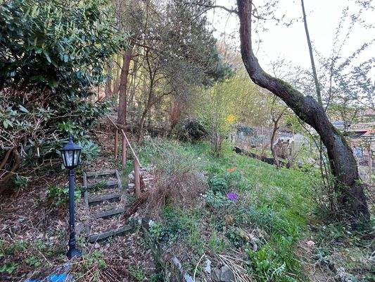 Kleiner, naturnaher Garten