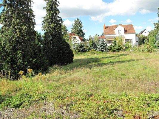 GRUNDSTÜCK MIT ALTBESTAND jpg_4890.JPG