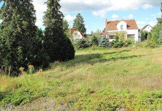 GRUNDSTÜCK MIT ALTBESTAND jpg_4890.JPG