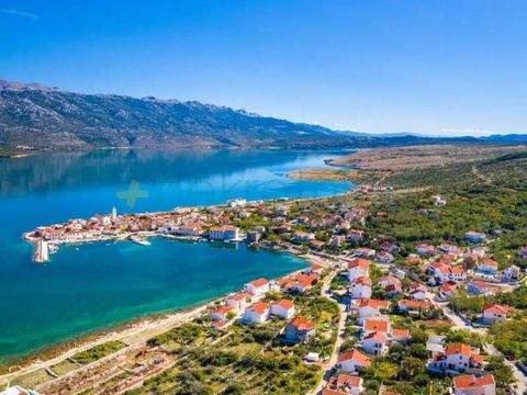 Posedarje Bauernhöfe, Landwirtschaft, Posedarje Forstwirtschaft