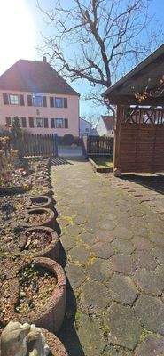 WhatsApp Image 2026-02-27 at 17.02.34.jpeg