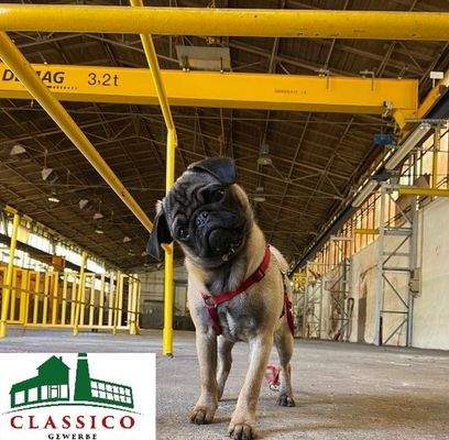 Beyly + Logo 150 kopie.jpg