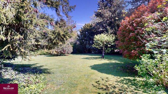 Impressionen Garten, Baugrund