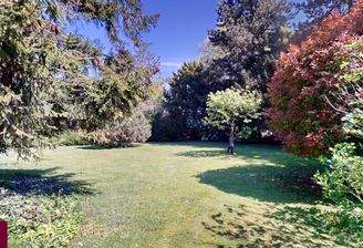 Impressionen Garten, Baugrund