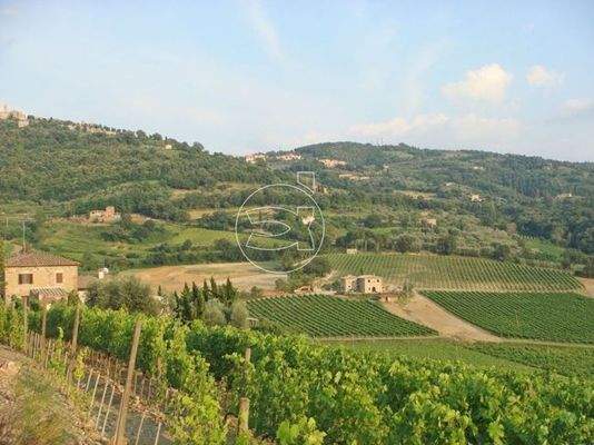 Eindrucksvolle Villa | Montalcino