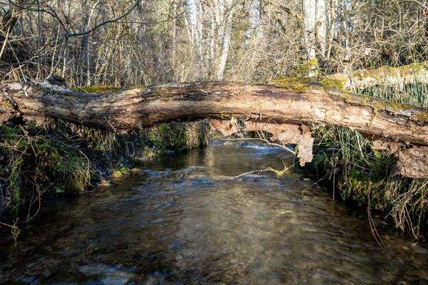 Hubenmühle Naturresidenz