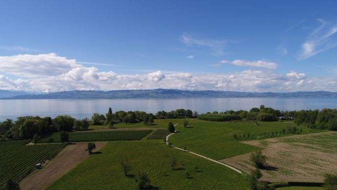 800 m vom Bodensee entfernt