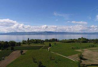 800 m vom Bodensee entfernt