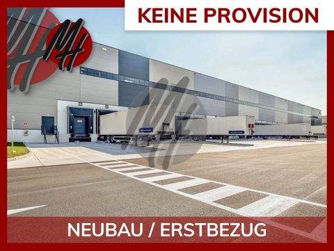 Wetzlar Halle, Wetzlar Hallenfläche