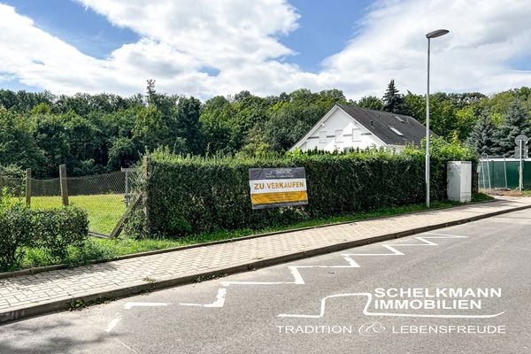 Traumgrundstück Bad Sulza_Schelkmann Immobilien