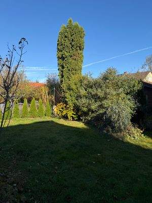 Hinter Teil des Gartens