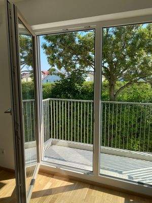 Ausblick vom Wohnzimmer