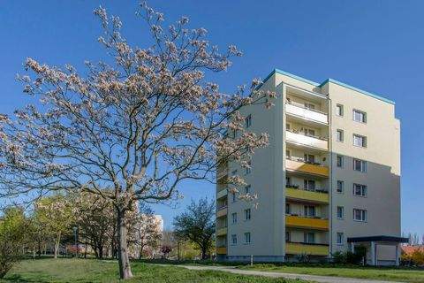 Cottbus Wohnungen, Cottbus Wohnung mieten