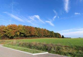 Grundstück