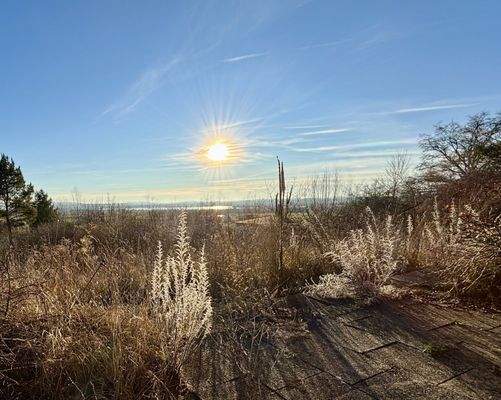 Blick von der Terrasse