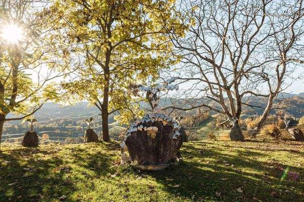 Neussl Eorykogel Liegenschaft 10 2025-23