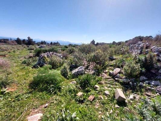 WhatsApp Image 2024-03-12 at 14.15.51_2fbd1b62.jpg