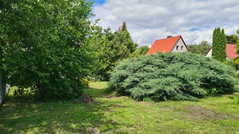 Halle (Saale) Häuser, Halle (Saale) Haus kaufen