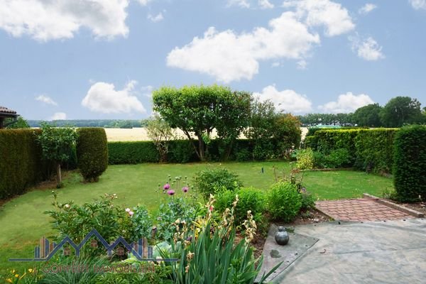 Blick in den Garten