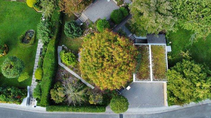 Vorderes Grundstück