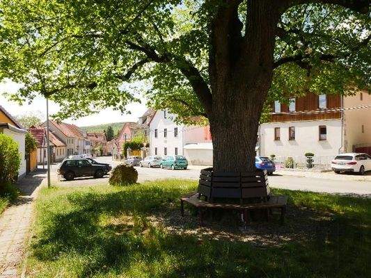  [*] Romantische Dorfmitte - DORFLINDE