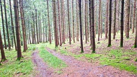 Pleiskirchen Bauernhöfe, Landwirtschaft, Pleiskirchen Forstwirtschaft