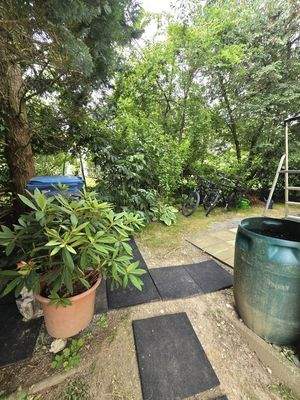 20250706_134311 (Mittel).jpg