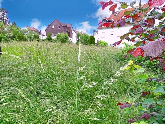 2. Grundstück Bad Homburg 1