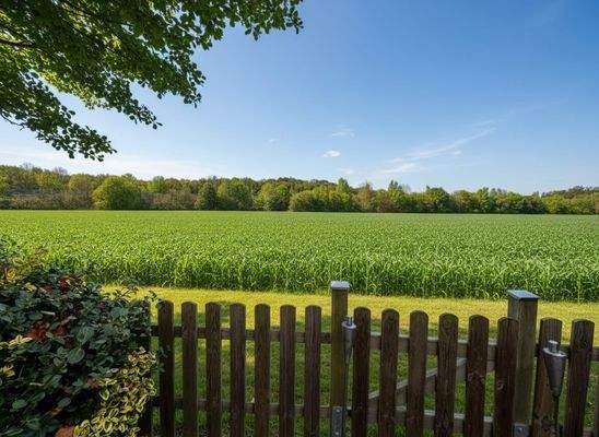 Ausblick aus dem Garten