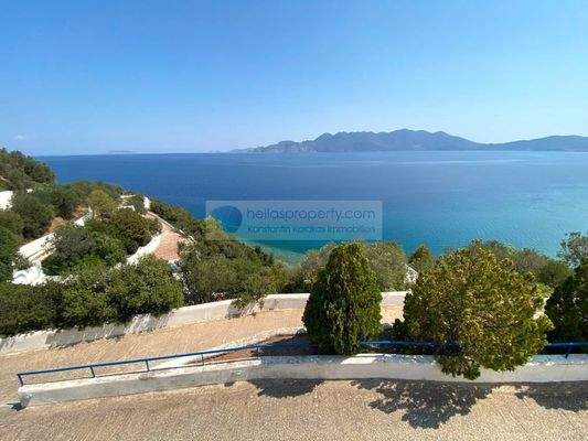 4c324bc5edf94b5bbdc7bbb995a21800-original