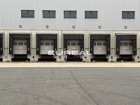 Bergheim Halle, Bergheim Hallenfläche