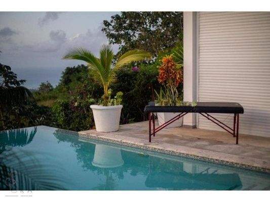 wmimg_amavi-real-estate-las-terrenas-for-sale-bella-vista-robins-nest24_cleanup