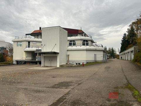 Neukirch Halle, Neukirch Hallenfläche