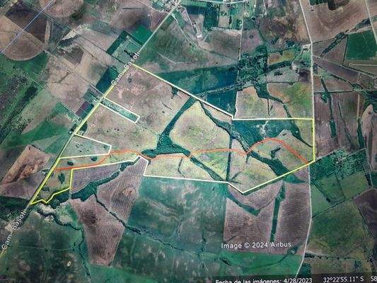 3 Campo San Felix Paysandu Uruguay.jpg