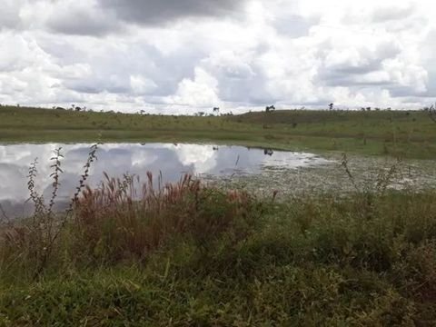 Carauari Grundstücke, Carauari Grundstück kaufen