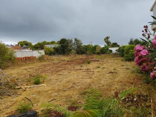 Kreta, Sternes: 2 benachbarte Grundstücke mit sehr