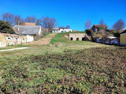 IMG_20250318_104503-