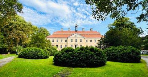 Greifswald Büros, Büroräume, Büroflächen 