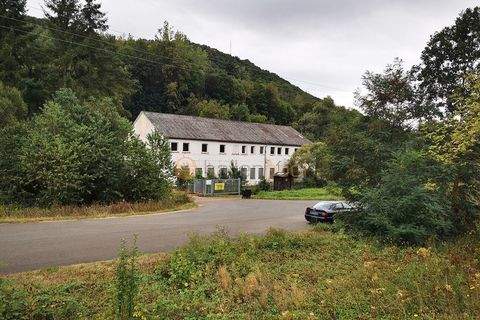 Obermoschel Halle, Obermoschel Hallenfläche