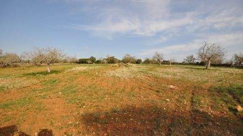 San Lorenzo Häuser, San Lorenzo Haus kaufen