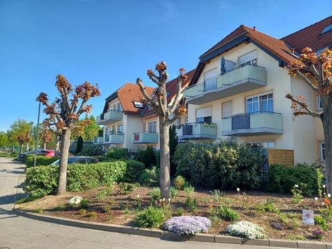 Weinböhla Wohnungen, Weinböhla Wohnung mieten
